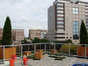 Eventide Restaurant Terrace, Arlington